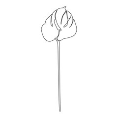 Anthurium continuous line drawing. Botanical Coloring. Floral Line Art. Flower Coloring Page.