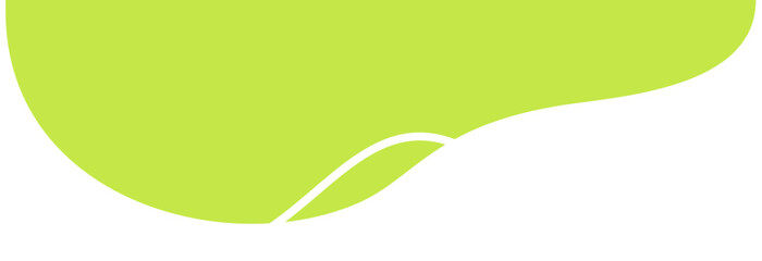 Fototapeta premium green leaf background