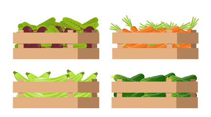 BoxOfFruitsVeges-02.eps