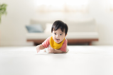 ずりはいする0歳の男の子