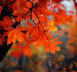 close up tree with orange leaves