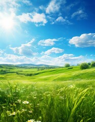 Fototapeta premium green field with flowers and blue sky