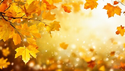 Fototapeta premium autumn leaves background