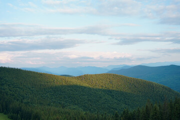 A view of a coniferous forest and mountains illuminated by the morning rays of the sun and a blue sky with clouds. Image for your design
