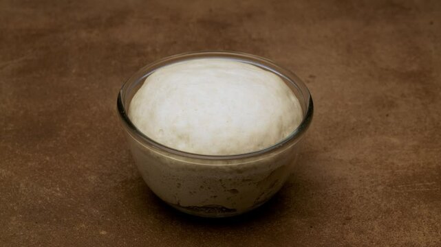 Biga raising in the glass bowl time lapse