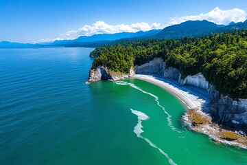 Aerial view, forested coastline, trees meeting the sea presents a striking contrast between land and water