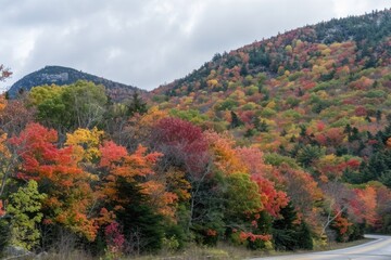 A mountain range covered in autumn foliage