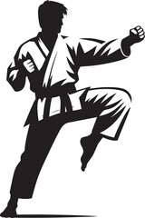 Karate silhouette vector illustration isolated on a white background