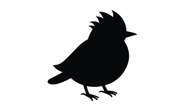 recommend clip art: black and White bird silhouette vector style