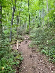 A hiking trail in the Pisgah National Forest near Burnsville, NC USA