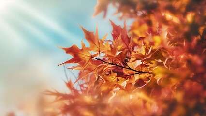 Fototapeta premium Close-up shot of beautiful autumnal leaves for background