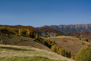 Naklejka premium autumn in the mountains