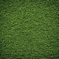 Obraz premium Lush green grass covering a vibrant landscape, perfect for outdoor activities, gardens, or landscaping projects.