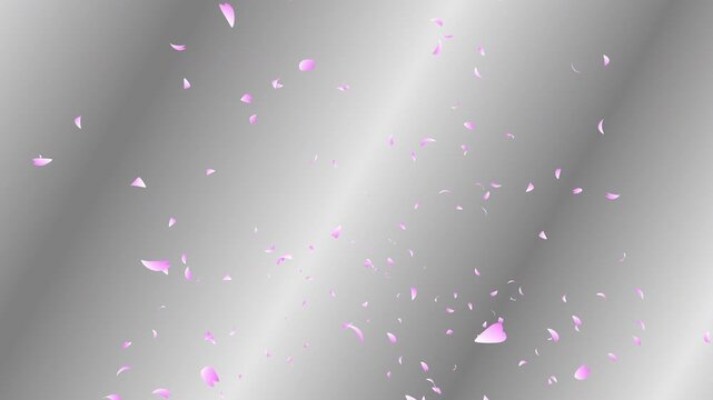 Pink cherry petals falling and flying away on silver gradient moving background. Abstract background with a scene of Spring time in Japan.