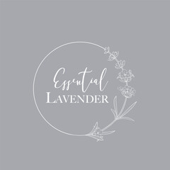 Lavender flower vector logo. Floral design label