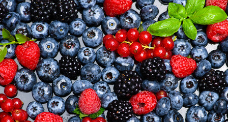 Raspberry, blueberry, blackberry. Blackberries, blueberries, raspberries. Berries background. Ripe juicy berries close-up. Fresh berries mix. Berry berries mix.