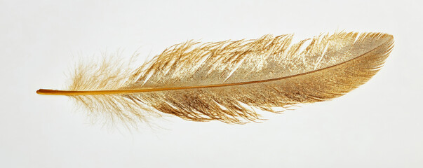 A rich gold feather with a metallic sheen and intricate details, floating softly against a white backdrop.