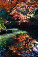 秋の庭園