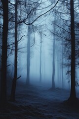 Fototapeta premium A forest with foggy trees and a misty atmosphere