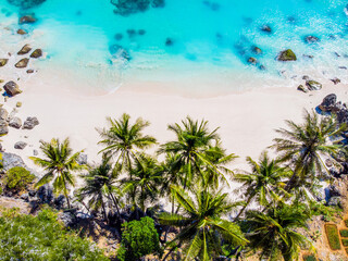 Aerial view of  tropical beach with coconut palm tree and sandy beach
