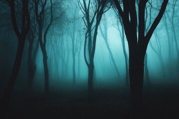 A forest with trees in the background and a foggy sky