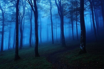 Obraz premium A forest with trees and a path