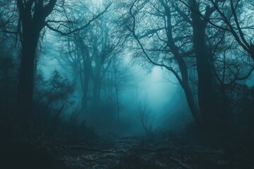 A forest with foggy trees and a dark sky