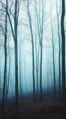 Fototapeta premium A forest with trees in the background and a foggy sky