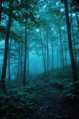 Fototapeta premium A forest path is shown in the dark with foggy mist