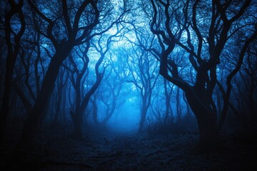 A forest with trees that are dark and blue