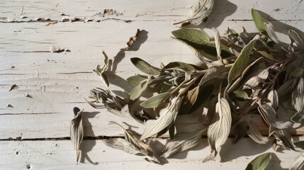 Dried sage leaves scattered on a rustic white wooden surface, lit by soft sunlight, creating a natural, rustic ambiance.