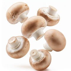 Falling champignon, mushroom, isolated on white background