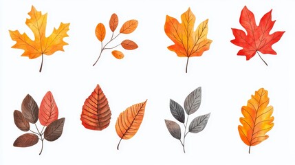 Autumn-themed vector leaves hand-drawn to create posters, kitchen textiles, clothing and website design.