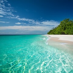 洗練された画像