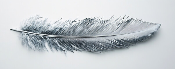 Obraz premium A metallic silver feather with sharp barbs and smooth texture, creating a contrast against the white backdrop.