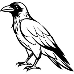 Obraz premium eagle on a white background