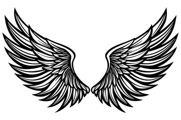 Obraz premium black wings vector