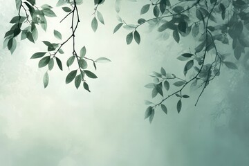 Silhouetted Branches and Leaves Against a Hazy Green Background