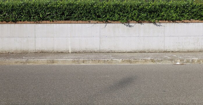 House fence made of prefab concrete wall, row of bricks on top and a hedge behind. Cement sidewalk and street in front. Background for copy space