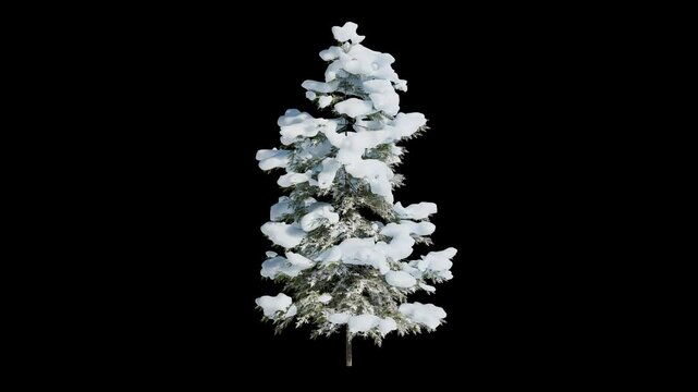 snow covered tree seamless loop waving on black background alpha channel, 3d render animation