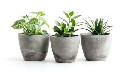 Fototapeta premium Isolated concrete plant pots with clipping path on white background