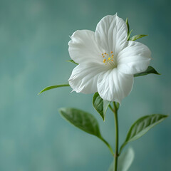 Obraz premium Single White Flower with Green Leaves - Illustration