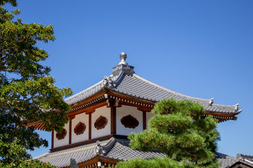 Moss Temple of Kyoto