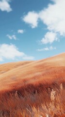 Orange grass in hills and blue-sky view, nature outdoor environment story background