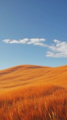 Obraz premium Orange grass in hills and blue-sky view, nature outdoor environment story background