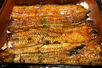 	うな重・うなぎ・鰻の蒲焼・鰻重