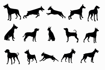  silhouette of a Doberman pinscher on a white background