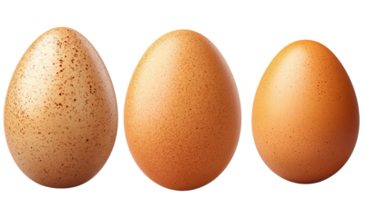 Three varieties of eggs showcasing different sizes and hues, perfect for culinary, farm, or nutritional themes.
