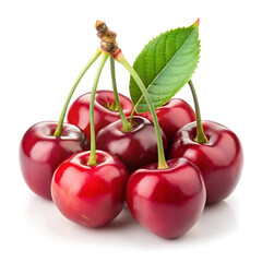 Cherries in branch with isolated in white background