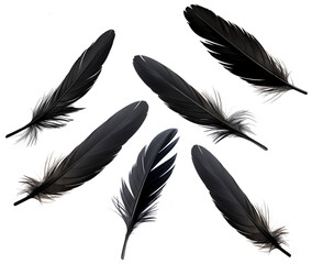 Falling Crow Dark feathers PNG black Feathers isolated on white and transparent background - Ethereal plumage Featherfall Soft descent